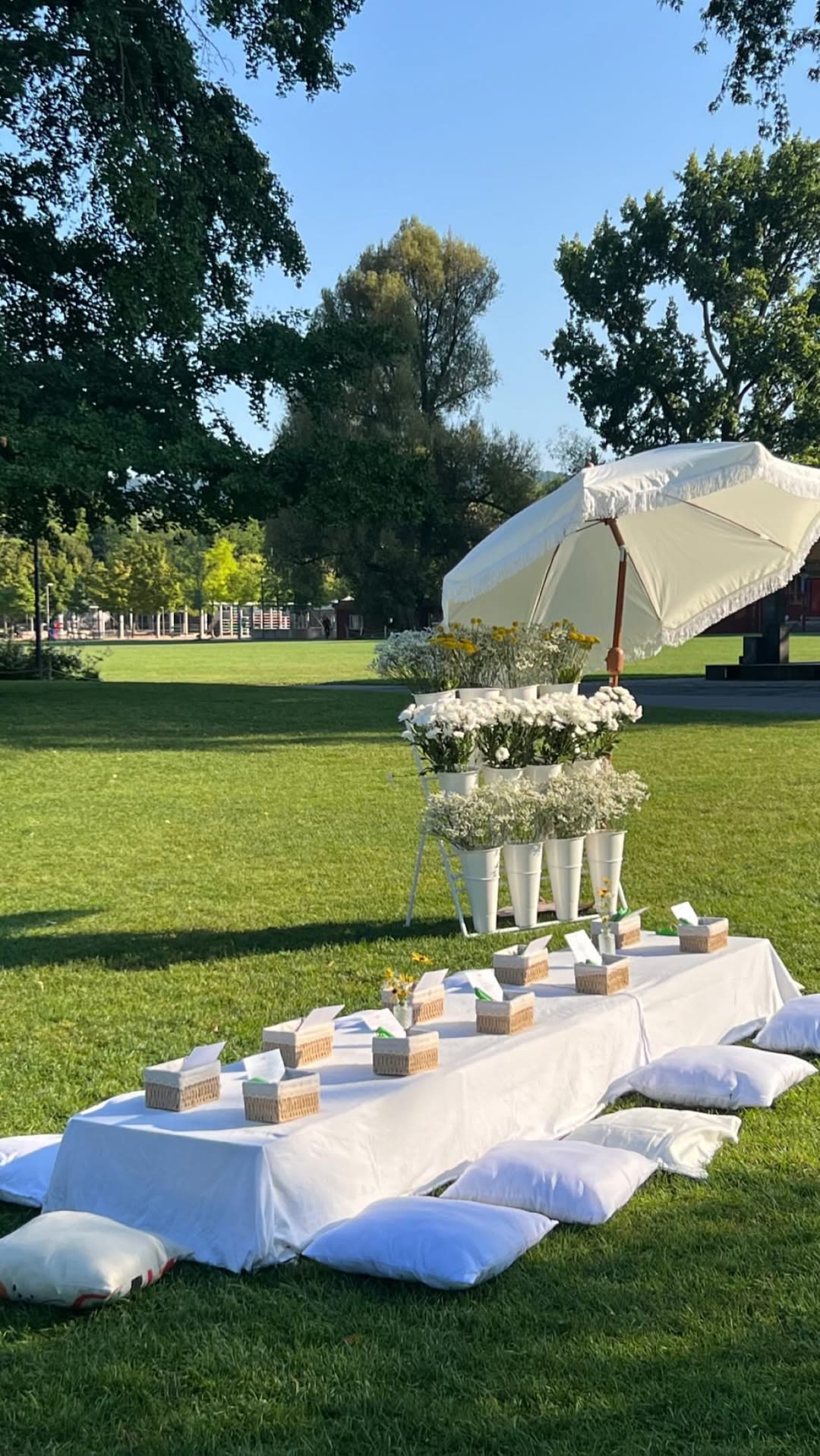 Lakeside picnic, Switzerland